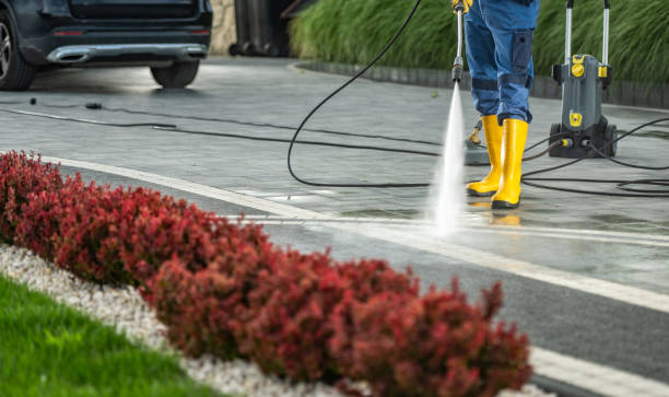Best Affordable Pressure Washing  in South Corning, NY